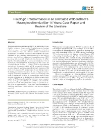 Histologic Transformation in an Untreated Waldenstrom's Macroglobulinemia After 14 Years