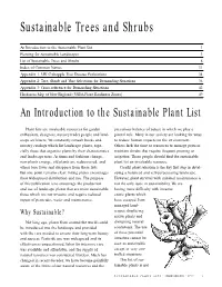 Sustainable Trees and Shrubs Guide