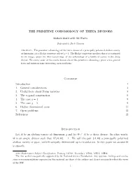 The Primitive Cohomology of Theta Divisors