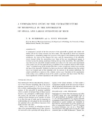 A Comparative Study of the Ultrastructure of Microvilli in the Epithelium of Small and Large Intestine of Mice