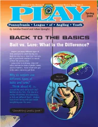 Back to the Basics: Bait/Lures