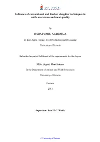 Evaluating the Slaughter Techniques in Cattle