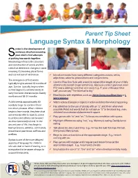 Syntax and Morphology Semantics