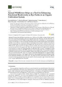 Annual Wildflower Strips As a Tool for Enhancing Functional Biodiversity