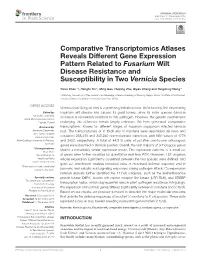 Comparative Transcriptomics Atlases Reveals Different Gene Expression Pattern Related to Fusarium Wilt Disease Resistance and Susceptibility in Two Vernicia Species