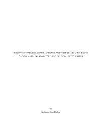 Toxicity of Cadmium, Copper, and Zinc and Their Binary Mixtures to Daphnia Magna in Laboratory and Field-Collected Waters