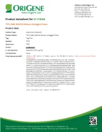 TTC1 (NM 003314) Human Untagged Clone – SC118068 | Origene