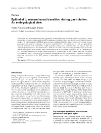 Epithelial to Mesenchymal Transition During Gastrulation: an Embryological View