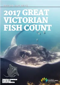 Praise Our Rays 2017 Great Victorian Fish Count