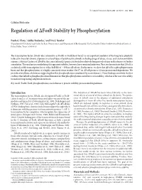 Regulation of Fosb Stability by Phosphorylation