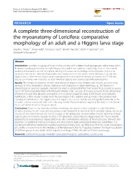 A Complete Three-Dimensional Reconstruction Of