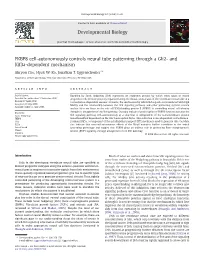 FKBP8 Cell-Autonomously Controls Neural Tube Patterning Through a Gli2- and Kif3a-Dependent Mechanism