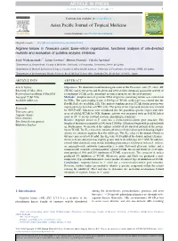 Arginine Kinase in Toxocara Canis: Exon-Intron Organization, Functional