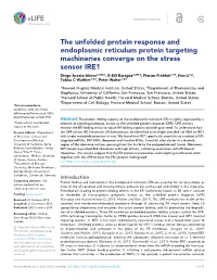 The Unfolded Protein Response and Endoplasmic