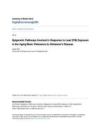 (PB) Exposure in the Aging Brain: Relevance to Alzheimer's Disease