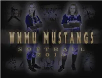 Softball MG 2010 Web.Pdf