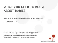 What You Need to Know About Rabies