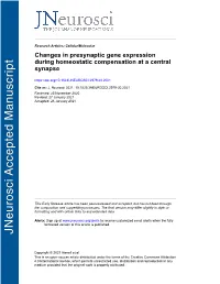 Changes in Presynaptic Gene Expression During Homeostatic Compensation at a Central Synapse