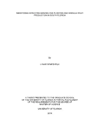 University of Florida Thesis Or Dissertation