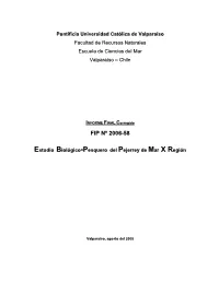 Informe Final