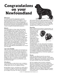 Congratulations on Your Newfoundland