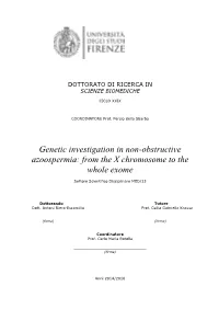 Genetic Investigation in Non-Obstructive Azoospermia: from the X Chromosome to The
