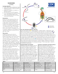 HOOKWORMS (1 CE Hour) Learning Objectives !! List the Risk Factors for Hookworm Infections