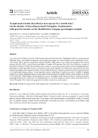 On the Identity of Euscelimena Hardi (Tetrigidae: Scelimeninae) with General Remarks on the Identification of Pygmy Grasshopper Nymphs