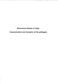 Rhizoctonia Disease of Tulip: Characterization and Dynamics of the Pathogens Promotor: Dr