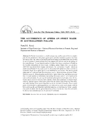 The Occurrence of Aphids on Sweet Maize in South-Eastern Poland