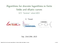Algorithms for Discrete Logarithms in Finite Fields and Elliptic Curves
