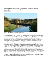 Biological Monitoring System Continues in Scarlino
