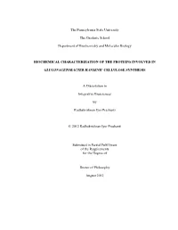Open Iyer PR__Thesis.Pdf