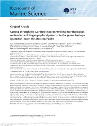 Unravelling Morphological, Molecular, and Biogeographical Patterns in the Genus Zapteryx (Guitarﬁsh) from the Mexican Paciﬁc