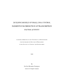 Building Models of Small DNA Control Elements for Prediction Of