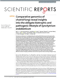 Comparative Genomics of Chytrid Fungi Reveal Insights Into the Obligate