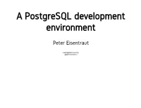 A Postgresql Development Environment