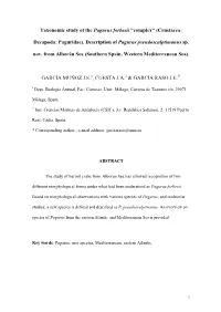 Taxonomic Study of the Pagurus Forbesii "Complex" (Crustacea