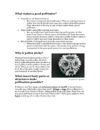 What Makes a Good Pollinator? Why Is Pollen Sticky?