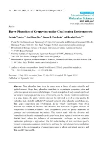 Berry Phenolics of Grapevine Under Challenging Environments