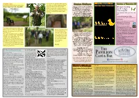 Orston Walkers Steve's Musings