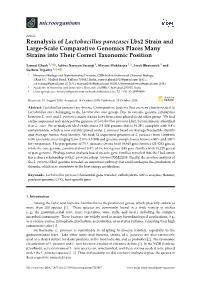 Reanalysis of Lactobacillus Paracasei Lbs2 Strain and Large-Scale Comparative Genomics Places Many Strains Into Their Correct Taxonomic Position