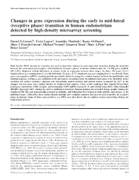Changes in Gene Expression During the Early to Mid-Luteal (Receptive Phase) Transition in Human Endometrium Detected by High-Density Microarray Screening