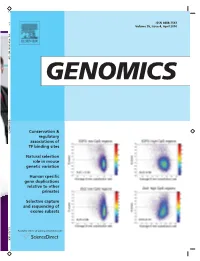 Conservation and Regulatory Associations of a Wide Afﬁnity Range of Mouse Transcription Factor Binding Sites