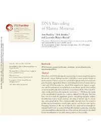 DNA Barcoding of Marine Metazoa