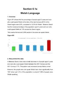 Section 6.1A Welsh Language