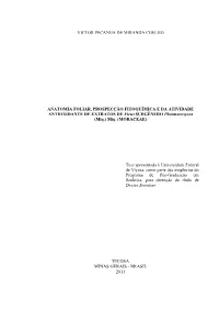 Texto Completo.Pdf