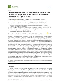 Carbon Transfer from the Host Diatom Enables Fast Growth and High Rate of N2 Fixation by Symbiotic Heterocystous Cyanobacteria