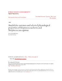 Amylolytic Enzymes and Selected Physiological Properties of Streptococcus Bovis and Streptococcus Equinus Ernest Wendell Boyer Iowa State University