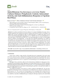 Autochthonous Saccharomyces Cerevisiae Starter Cultures Enhance Polyphenols Content, Antioxidant Activity, and Anti-Inﬂammatory Response of Apulian Red Wines